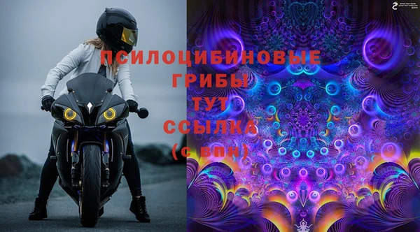 PSILOCYBIN Майский